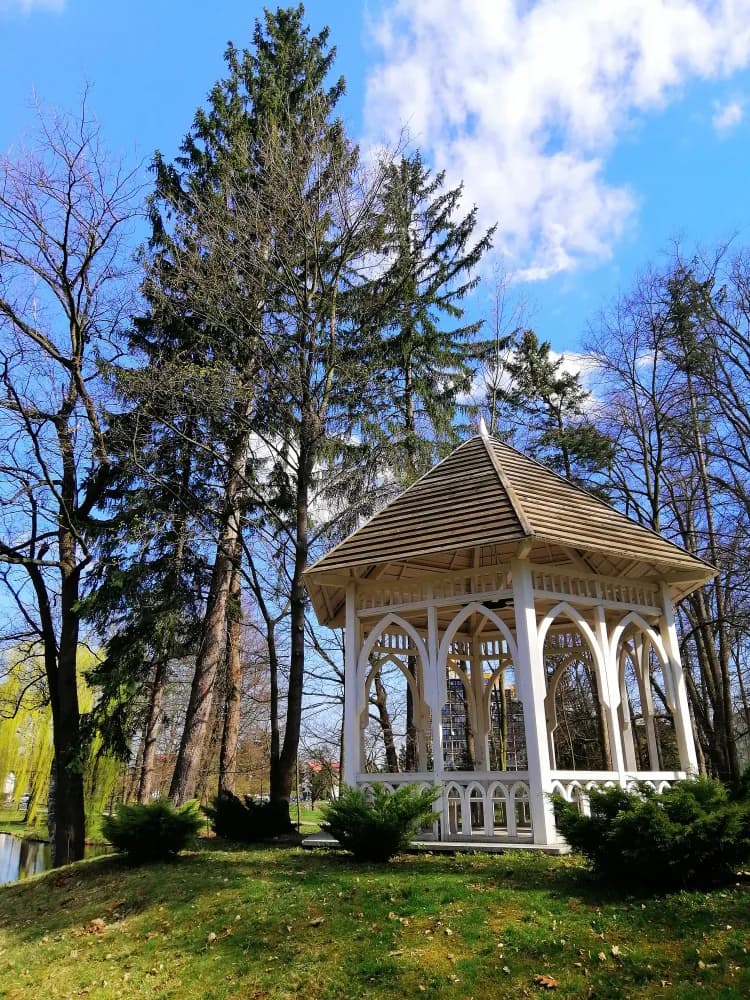 Pergola & Gazebo Cleaning