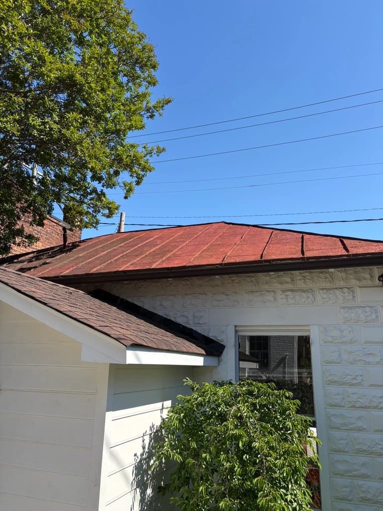 Metal Roof Cleaning