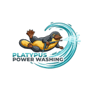 Platypus Power Washing