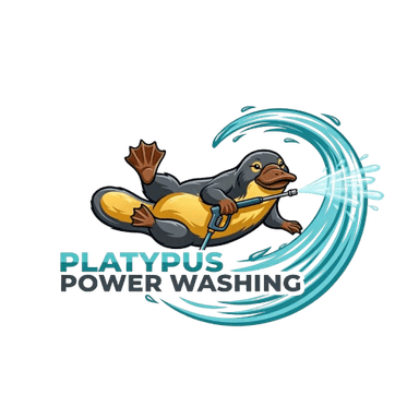 Platypus Power Washing