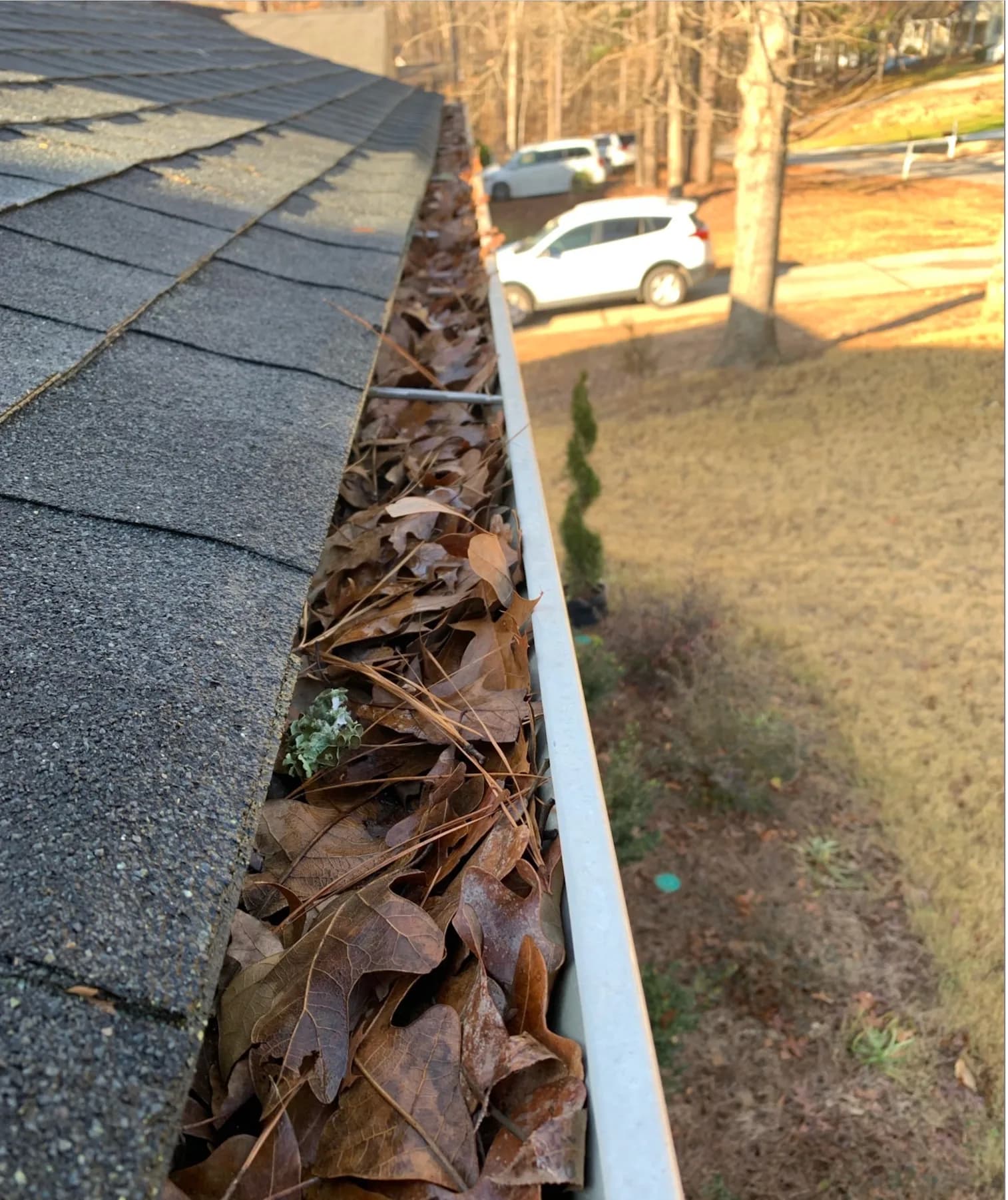 Gutter Debris Removal
