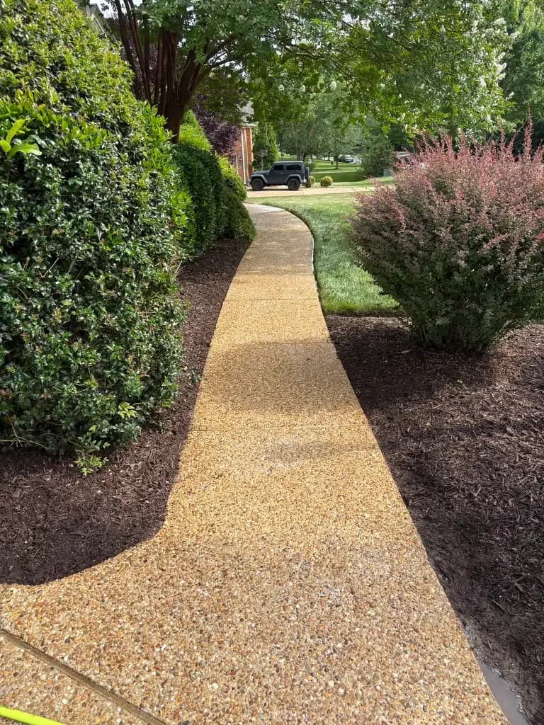 Sidewalk & Walkway Cleaning